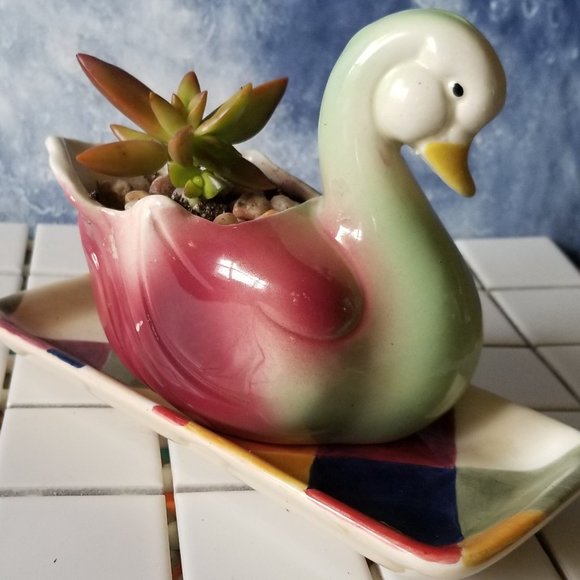 Beautiful Duck / Swan Planter With Succulent - Picture 3 of 10